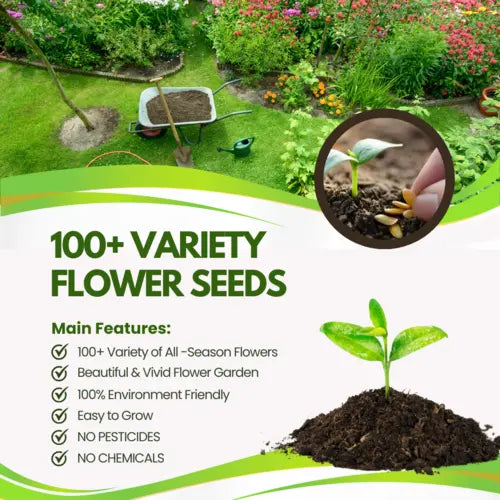 Multiple Variety Of Flower Seeds