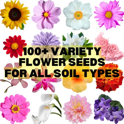 Multiple Variety Of Flower Seeds