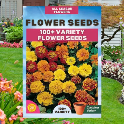 Multiple Variety Of Flower Seeds