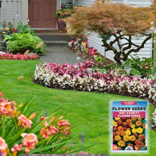 Multiple Variety Of Flower Seeds