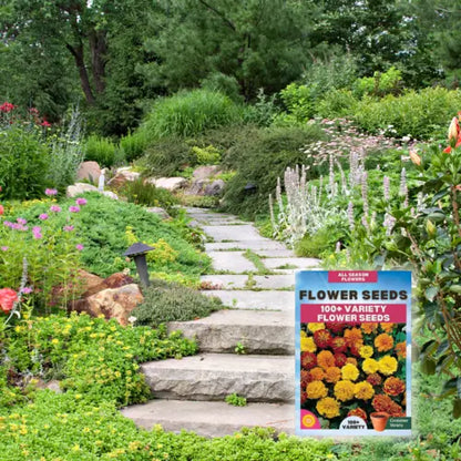 Multiple Variety Of Flower Seeds