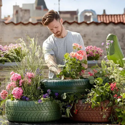 Multiple Variety Of Flower Seeds